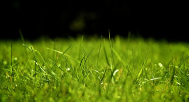 Photography Portfolio